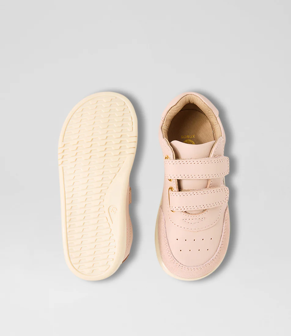 Champ- I-Walk - Cameo Rose - Image 4