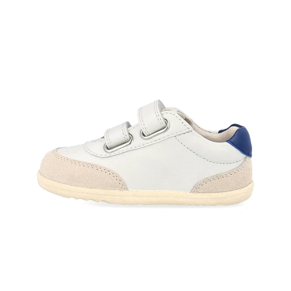 Champ - Step Up - Chalk + Gentian Blue - Image 3