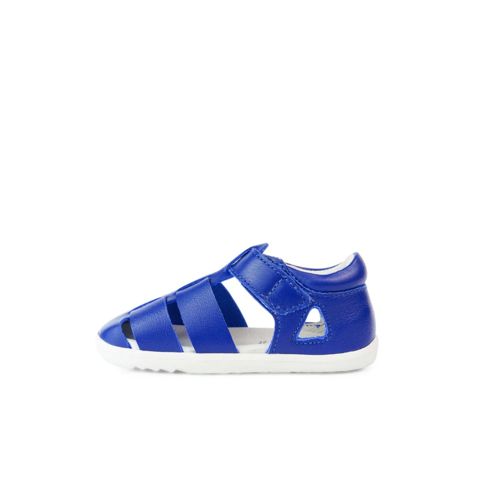 Tidal  - Step Up - Blueberry - Image 4